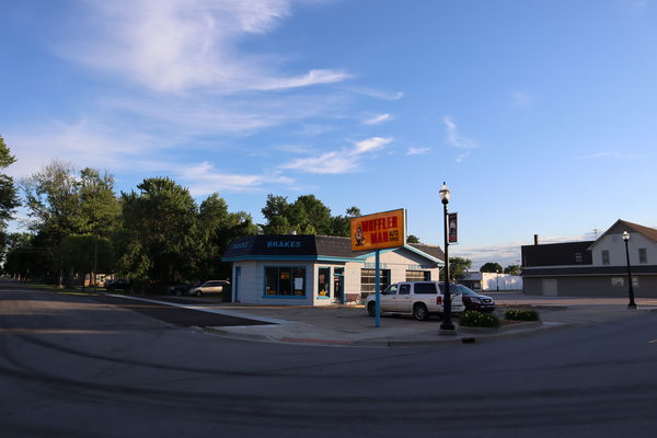 Merrill - June 2021 Photo (newer photo)